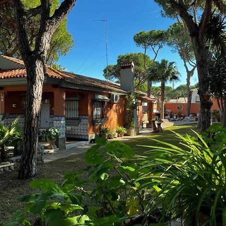 Chalet Los Pinos Con Piscina Privada 诺沃桑克蒂佩特里 外观 照片