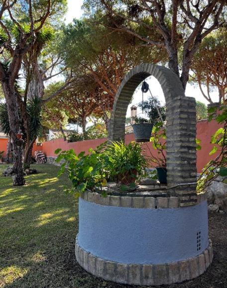 Chalet Los Pinos Con Piscina Privada 诺沃桑克蒂佩特里 外观 照片