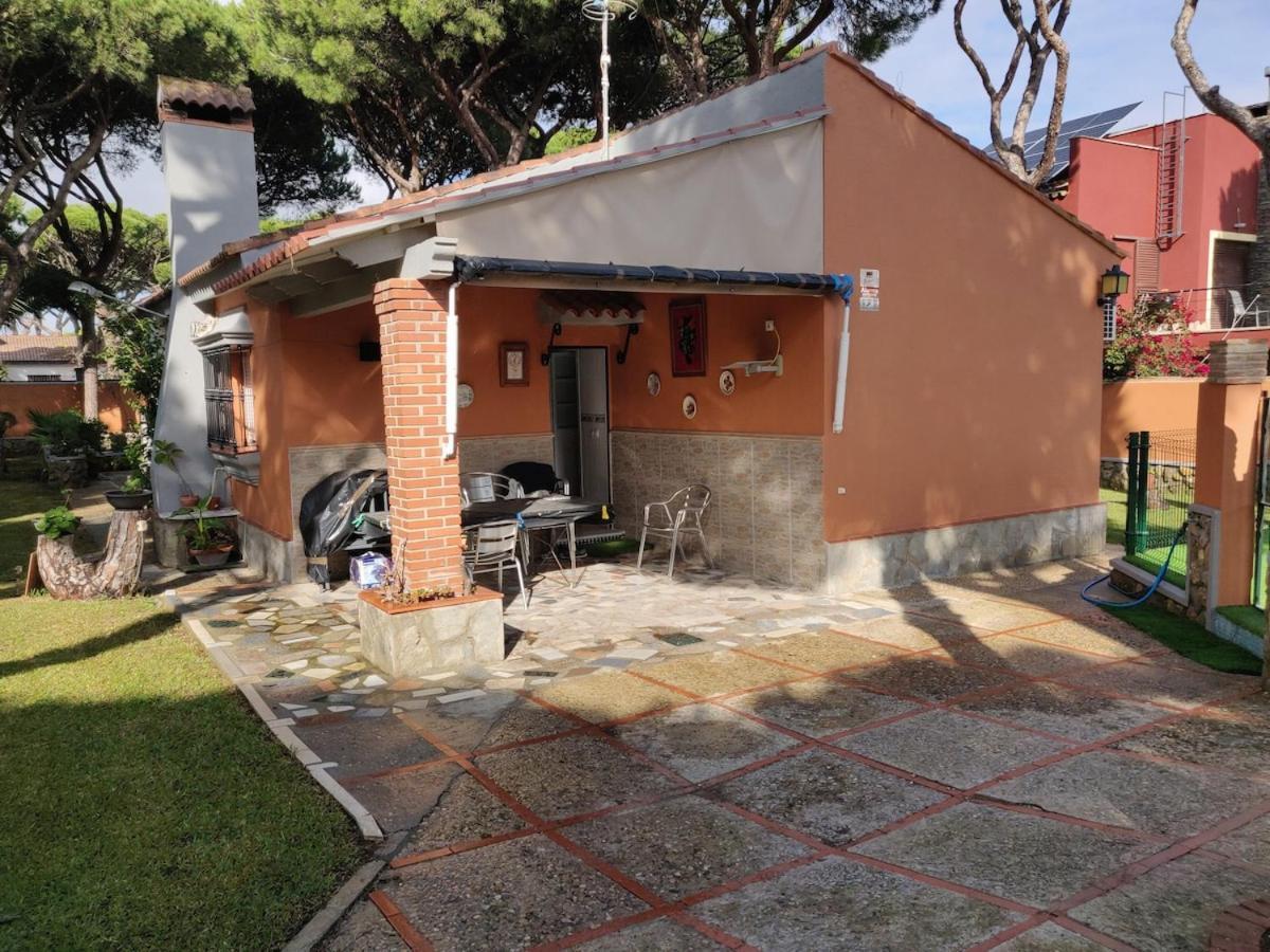 Chalet Los Pinos Con Piscina Privada 诺沃桑克蒂佩特里 外观 照片