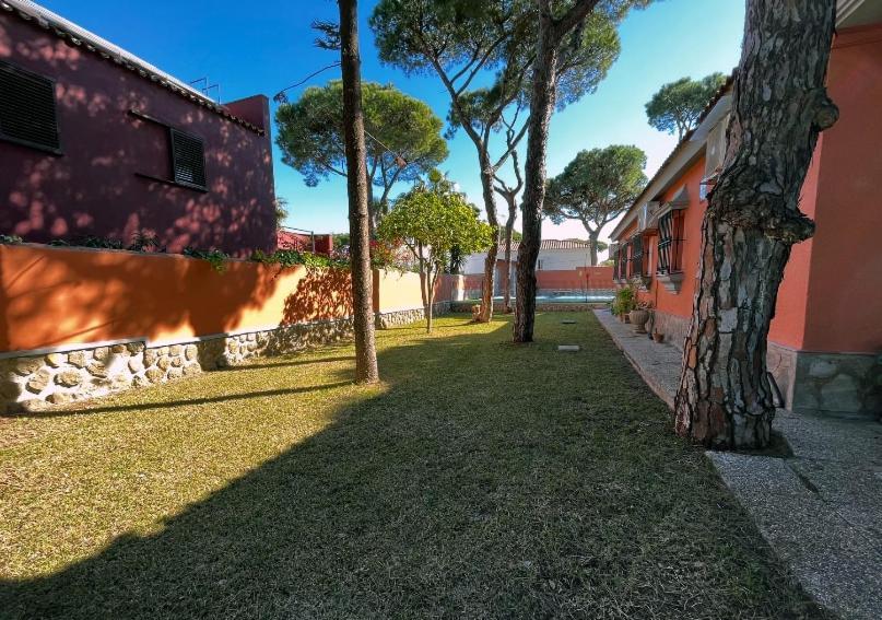 Chalet Los Pinos Con Piscina Privada 诺沃桑克蒂佩特里 外观 照片